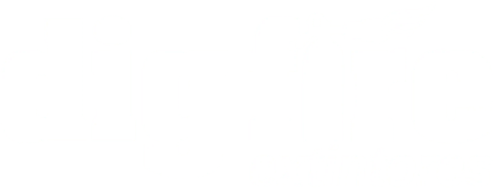 Logotipo Dig Fire