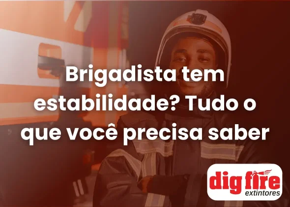 Brigadista tem estabilidade